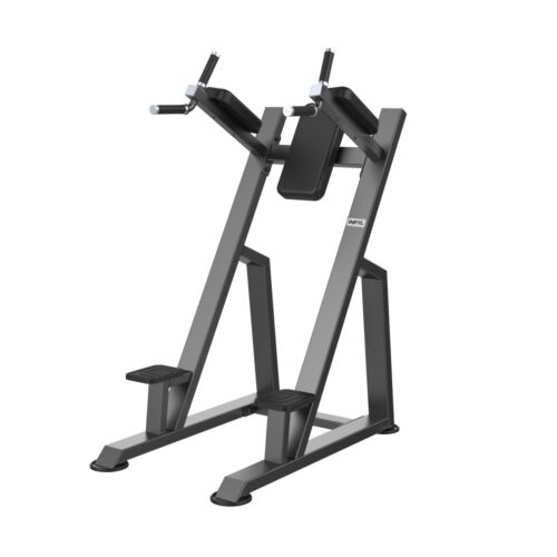 E3047 Dip / Vertical Knee Raise