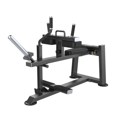 E3062 Seated Calf