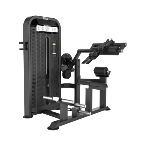 E5088 Abdominal / Back Extension