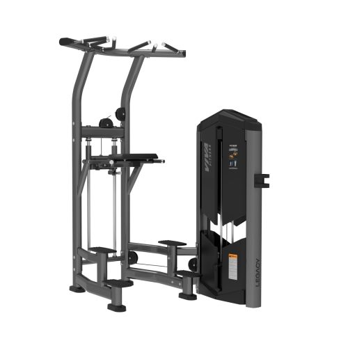 IP1020 Dip Chin / Assist