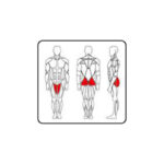 PC2106 Hip Abductor / Adductor