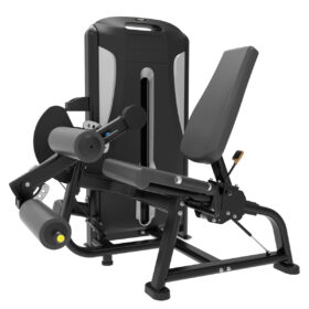 TP-25 Seated Leg Curl / Extension