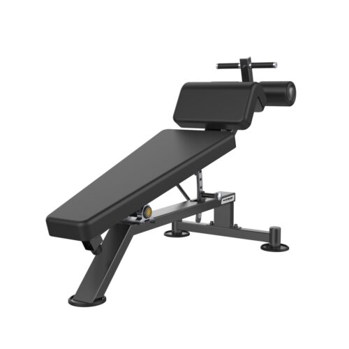 E3037 Adjustable Ab Bench
