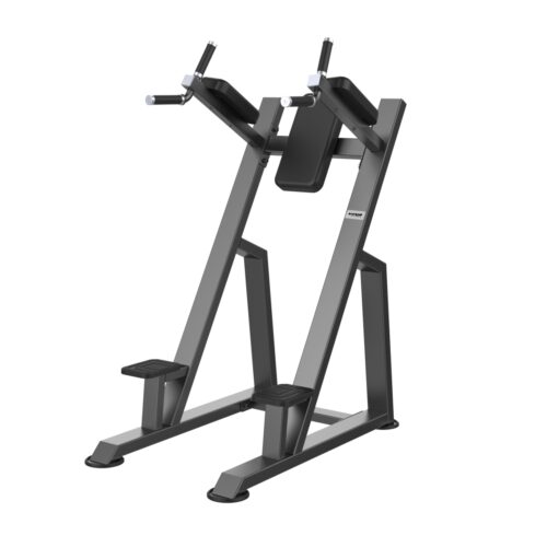 E3047 Dip / Vertical Knee Raise