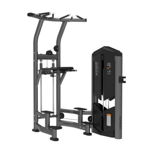 IP1020 Dip Chin / Assist