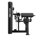 MS 012 Biceps / Triceps