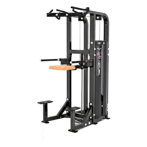 VF 6009 Assisted Dip Chin